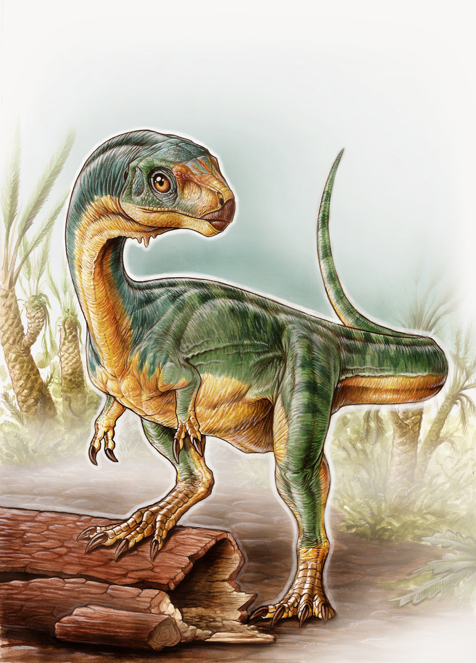 Meet Chilesaurus, TRex's weird vegetarian cousin The