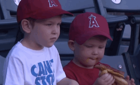 Little kid's hilarious hot dog fail caught on baseball stadium cam